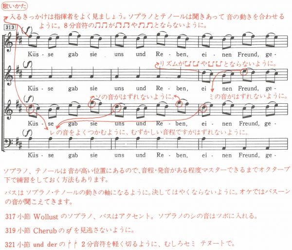 オーフロイデ ベートーヴェン交響曲第九番 歓喜の歌の発音とうたいかた 実践編 うたい方 赤入れ楽譜 松浦ゆかり 株式会社ハンナ